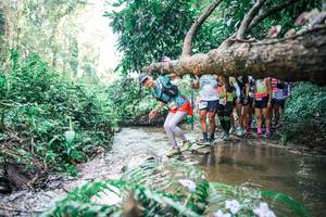 BIB: 
                            <button type="button" onclick="openModal(25469686)" class="btn btn-primary btn-sm float-right btn-popup" data-toggle="modal" data-target=".modal-high-quality">
                        <i class="fas fa-shopping-cart"></i> Add to Cart
                    </button>
                                            <button type="button" onclick="isThisMe(25469686, true)" class="btn btn-success btn-sm float-right btn-popup btn-isme hidden" data-toggle="tooltip" data-placement="bottom" title="นี่คือรูปของคุณใช่ไหม คลิกที่นี่เพื่อเอาเข้าอัลบั้ม">
                        <i class="fas fa-plus"></i> Add to album
                    </button>
                    <button type="button" onclick="isThisMe(25469686, false)" class="btn btn-warning btn-sm float-right btn-popup btn-isnotme hidden">
                        <i class="fas fa-ban"></i> Remove from album
                    </button>